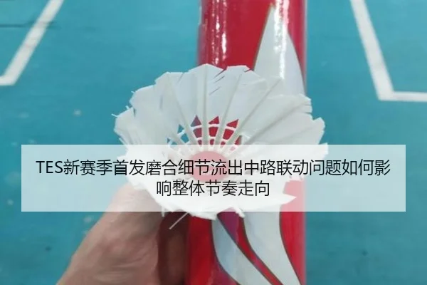 TES新赛季首发磨合细节流出中路联动问题如何影响整体节奏走向