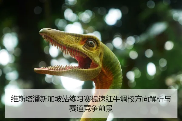 维斯塔潘新加坡站练习赛提速红牛调校方向解析与赛道竞争前景
